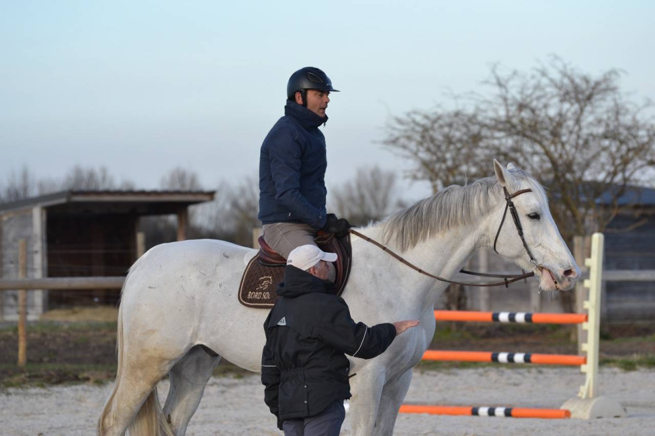 CHEVAL DE CSO 12 ANS