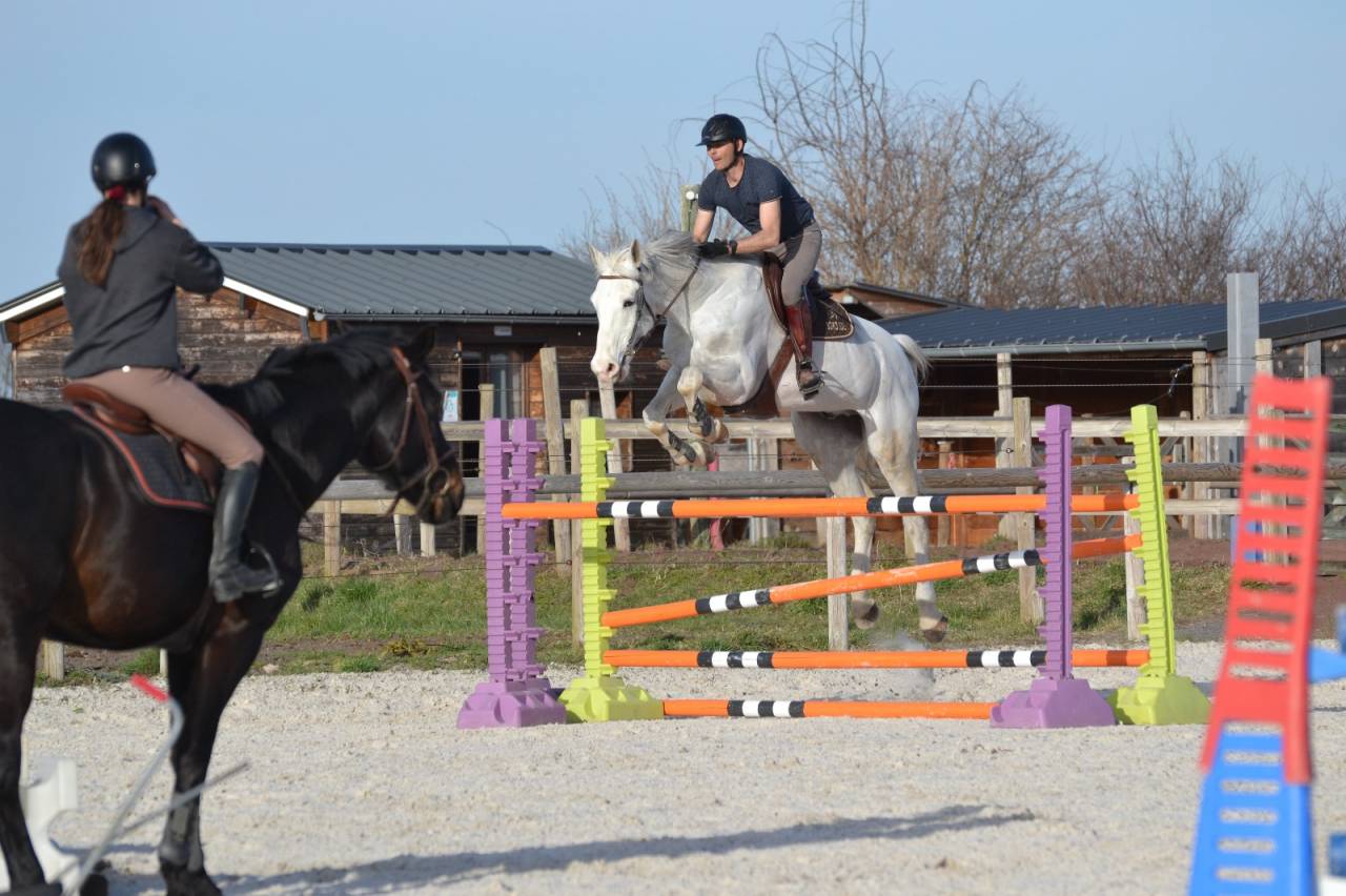 CHEVAL DE CSO 12 ANS