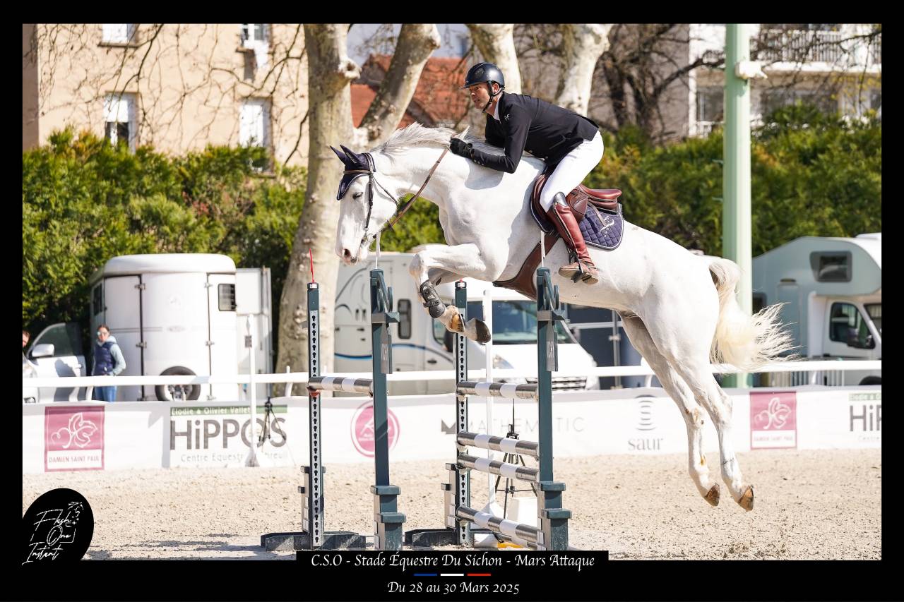 CHEVAL DE CSO 12 ANS