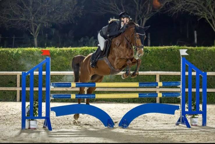 Jument de 13 ans passage cheval ou concours amateur