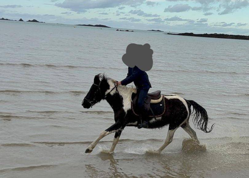 SUPER PONETTE A LOUER