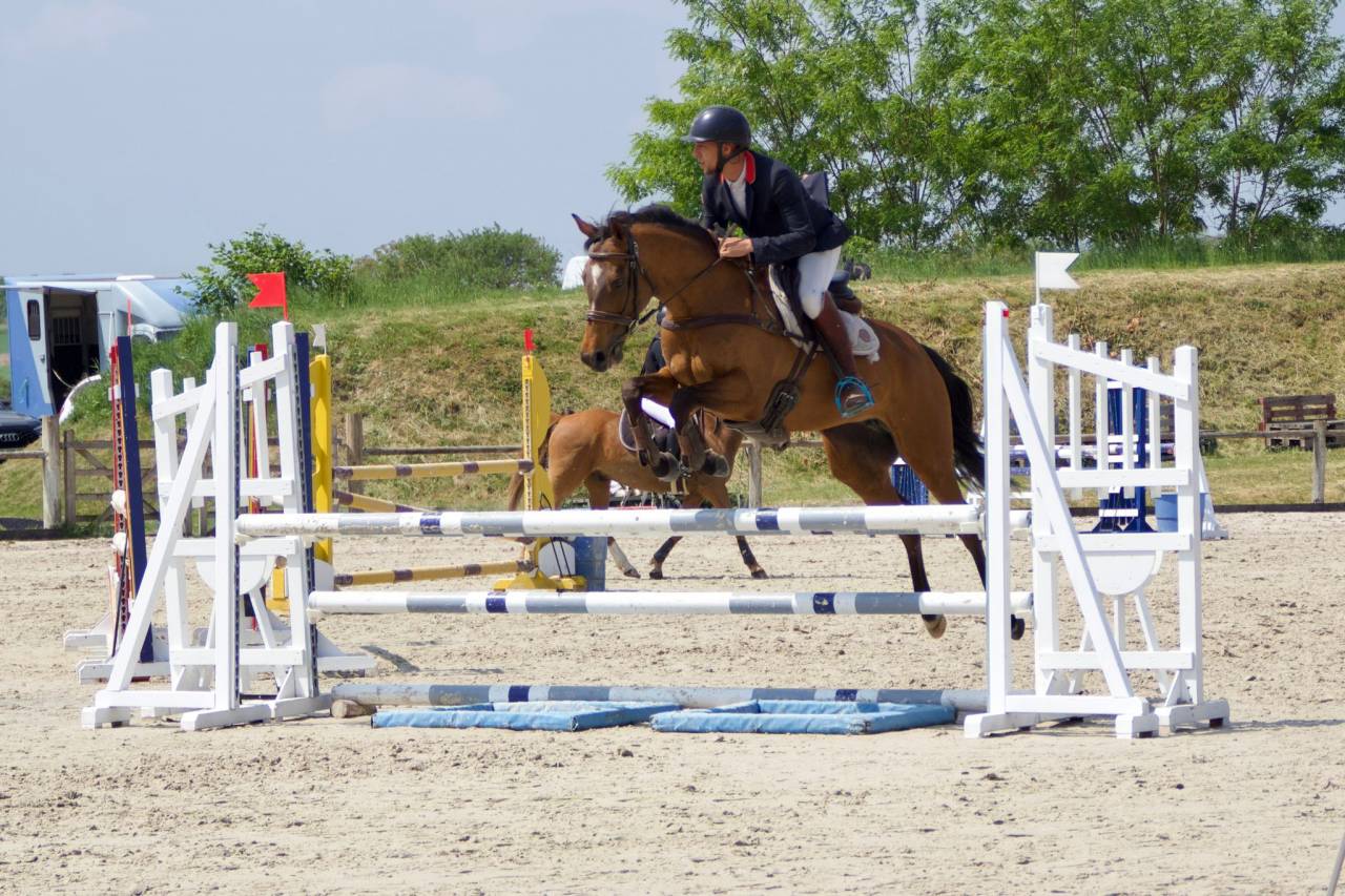 A vendre - Jument Pur-Sang de 13 ans