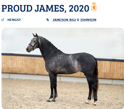 Mâle kwpn Par Proud James x Just Wimphof