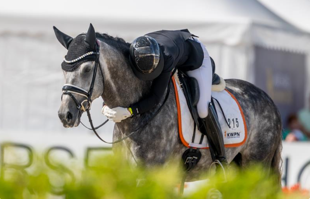 Mâle kwpn Par Proud James x Just Wimphof