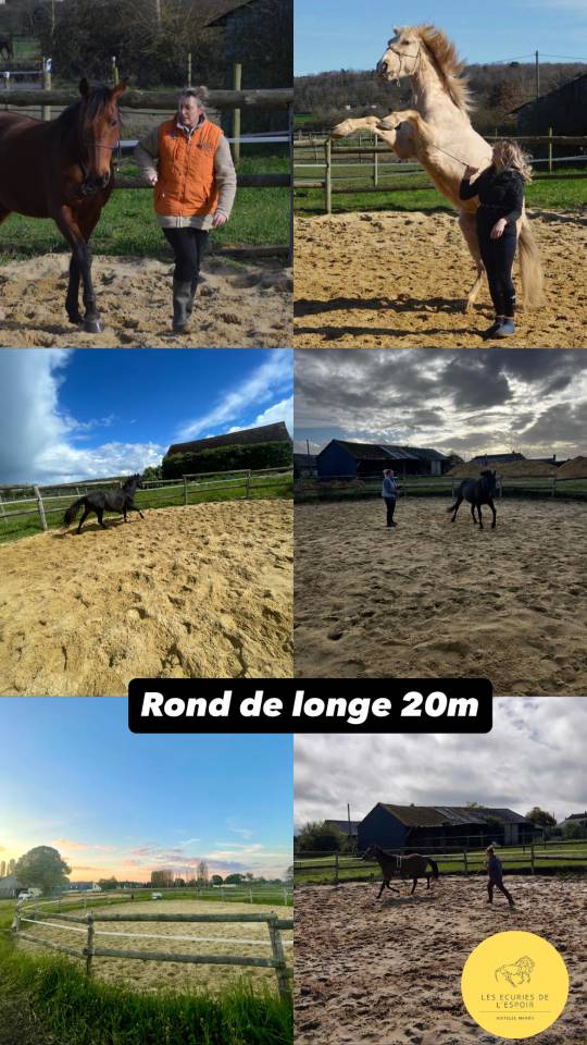 Dépôt vente chevaux en Sarthe 72
