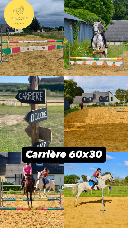 Dépôt vente chevaux en Sarthe 72