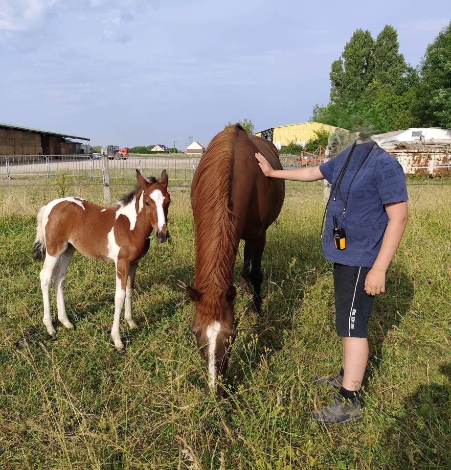 A réserver Pouliche PFS née le 18 mai 2025
