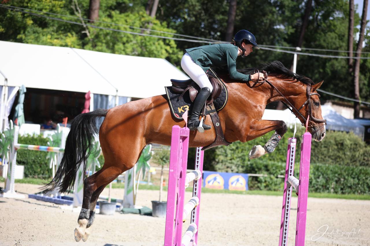 Jument 8 ans sport / Élevage 