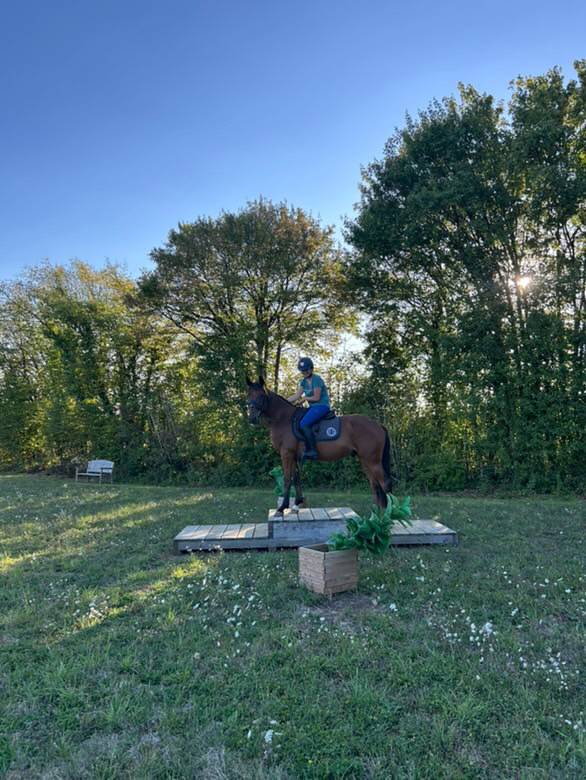 Trotteur de 3 ans 