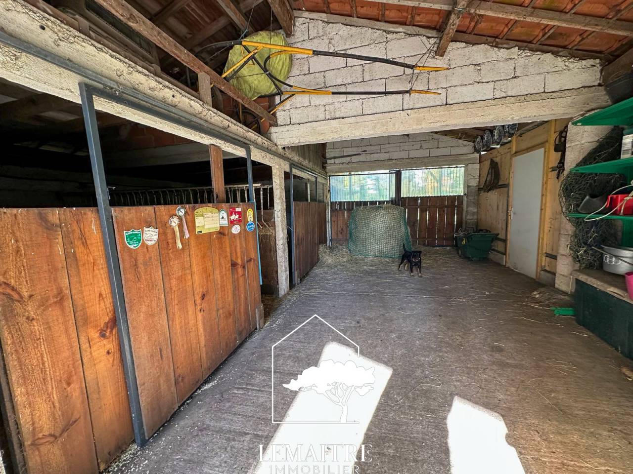 Propriété équestre à vendre Les Mathes – Maison 118 m²