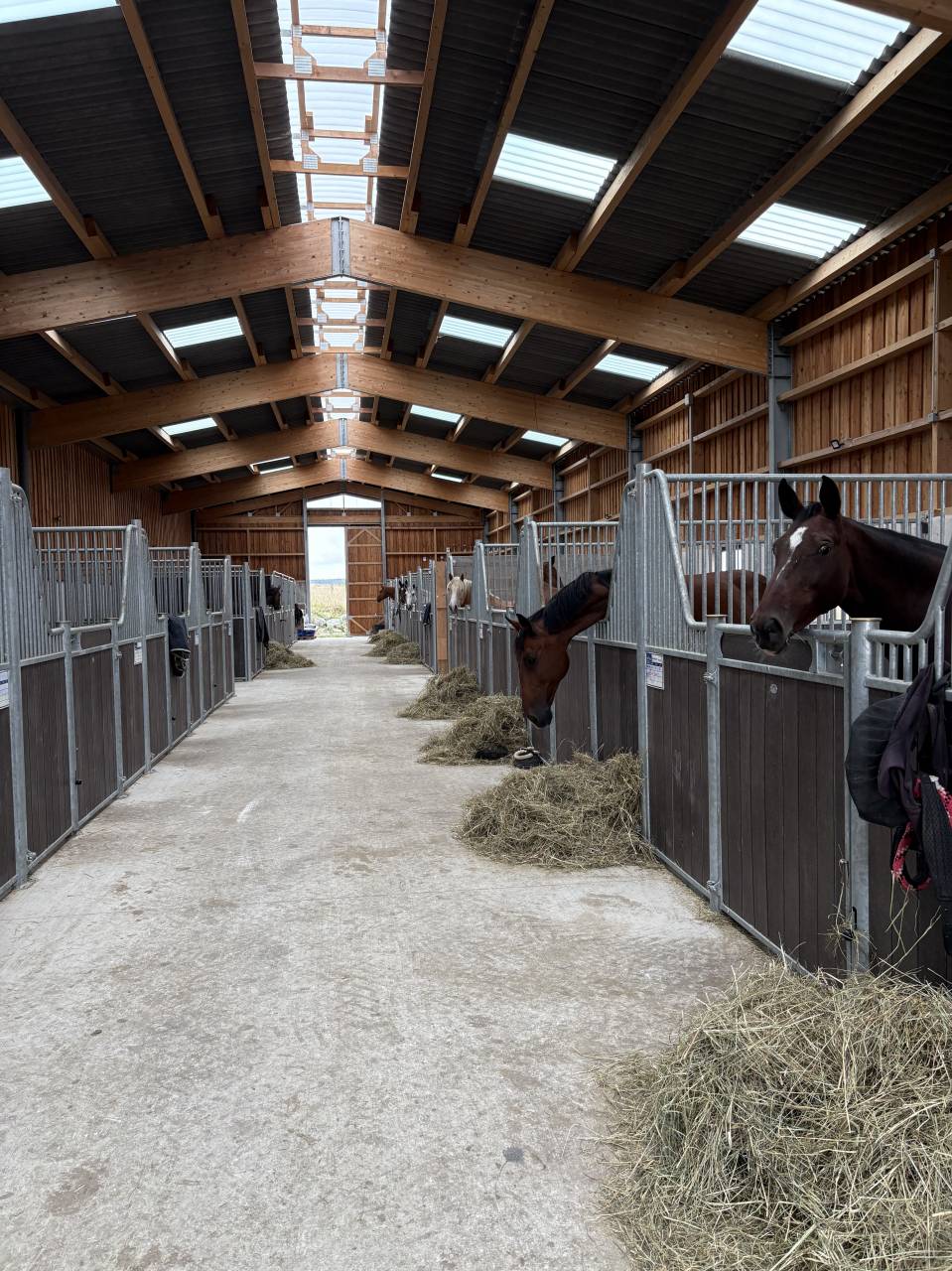 Pensions - comp&eacute;titions - d&eacute;bourrage - commerce 