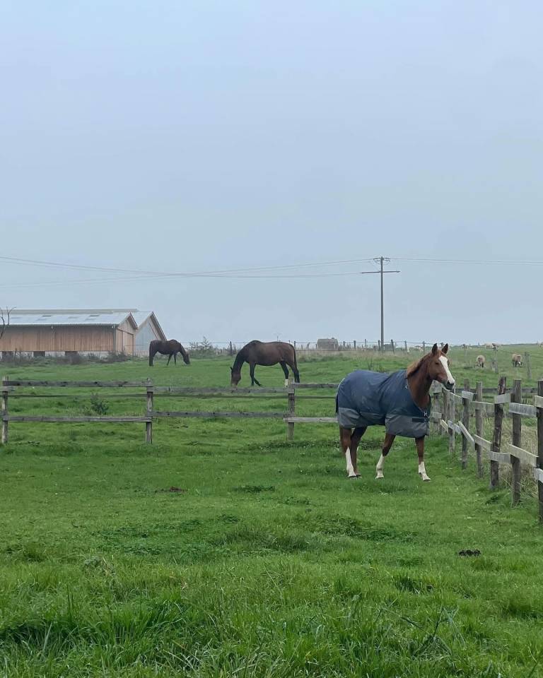 Pensions - comp&eacute;titions - d&eacute;bourrage - commerce 