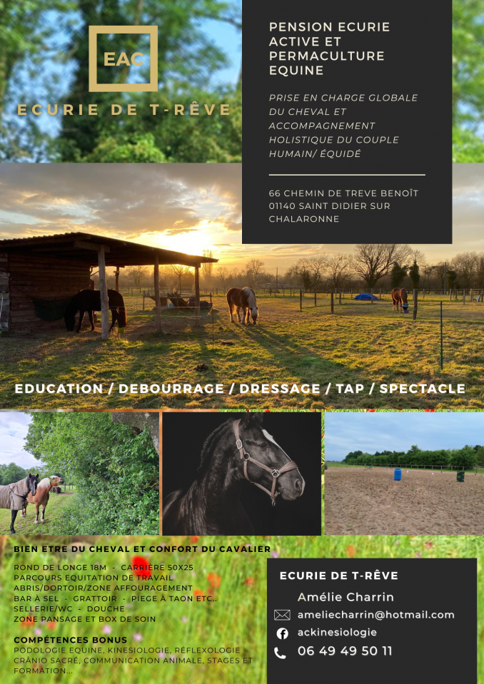 PENSION ECURIE ACTIVE