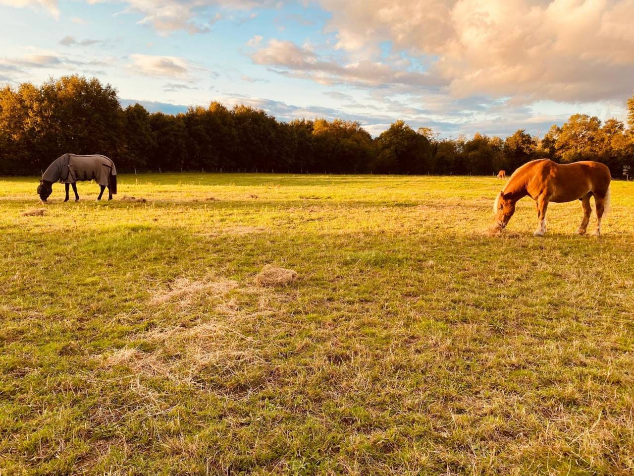 PENSION ECURIE ACTIVE