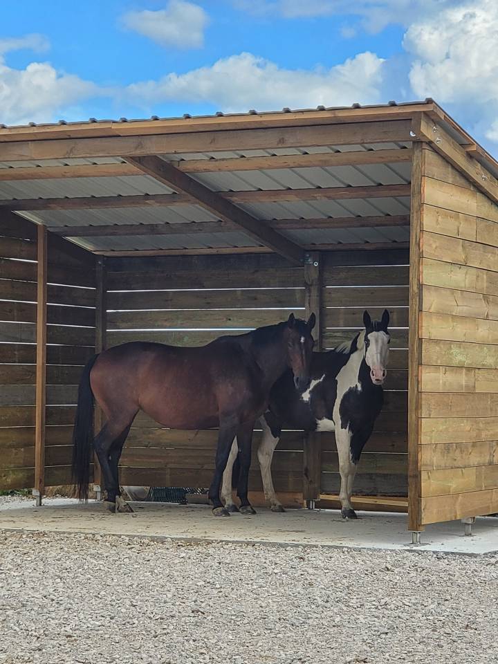 Pension chevaux Jura