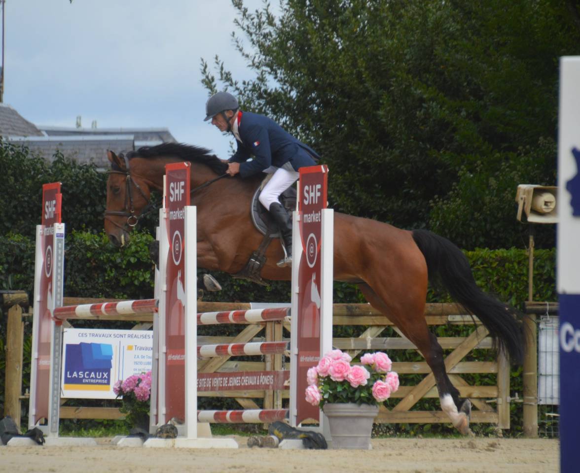 Chevaux 3- 4 ans
