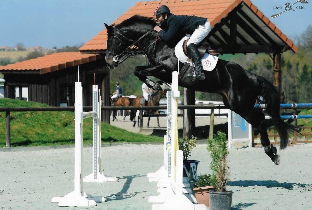 Etalon SF agréé pour reproduction