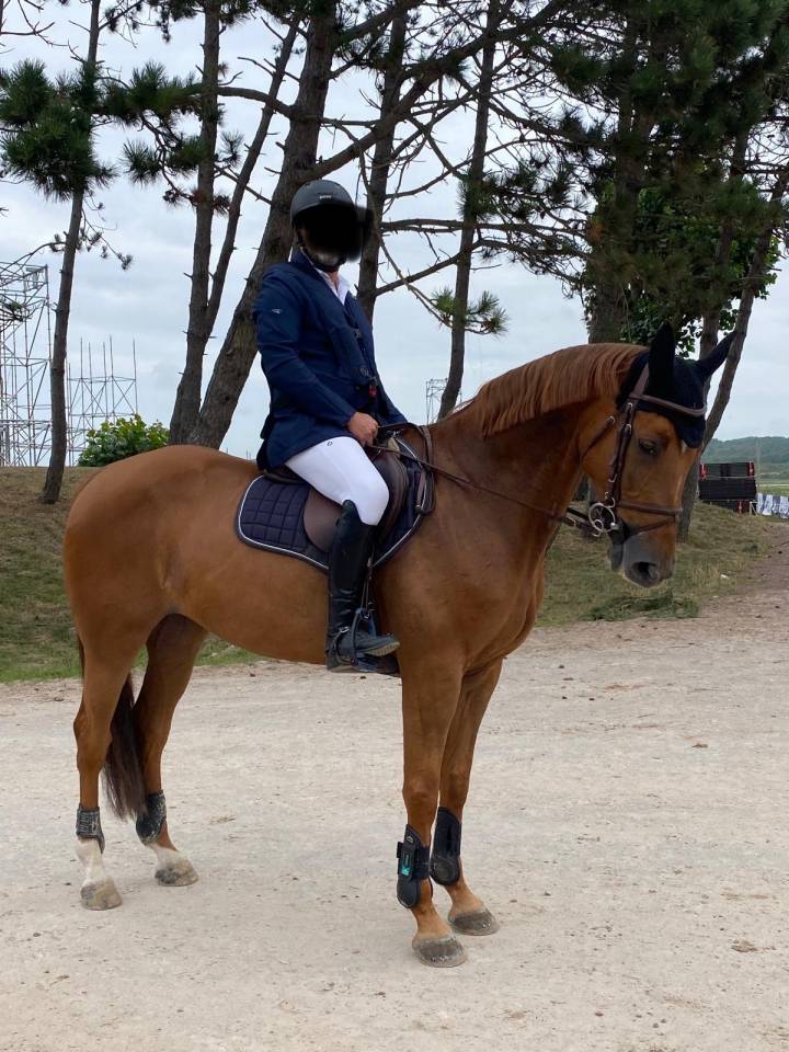 Magnifique jument CSO 12 ans, Kannan et par opium de Ta