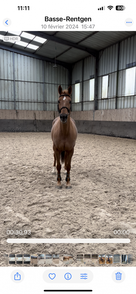 Magnifique jument CSO 12 ans, Kannan et par opium de Ta