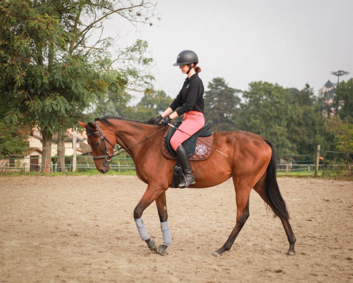 Jument PS de 3 ans à vendre