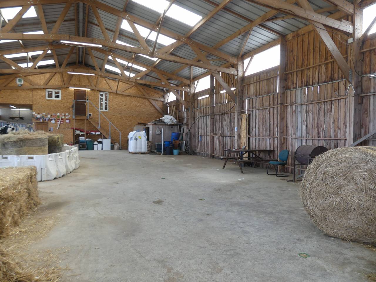 Pension chevaux et poulains &agrave; Muret (31)