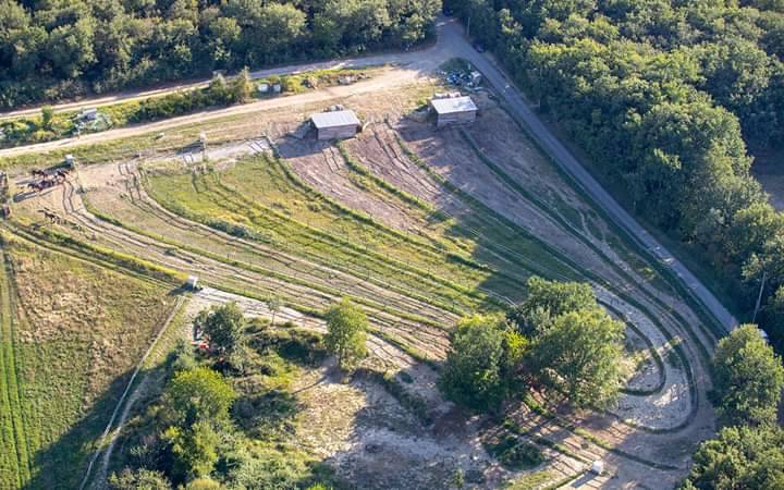 Pension chevaux et poulains &agrave; Muret (31)
