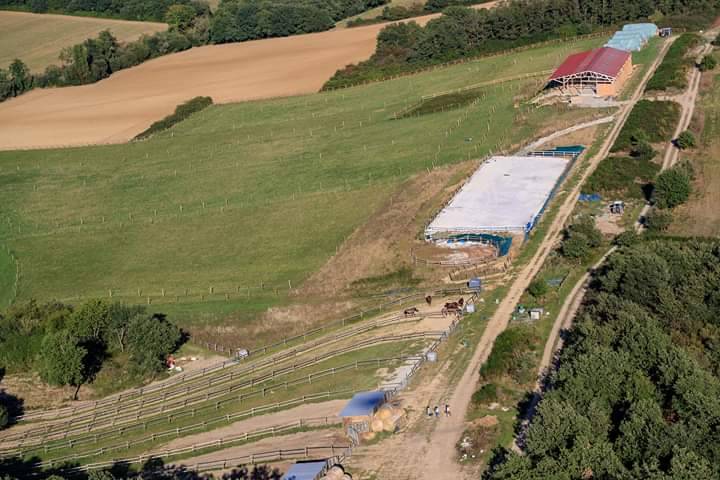 Pension chevaux et poulains &agrave; Muret (31)