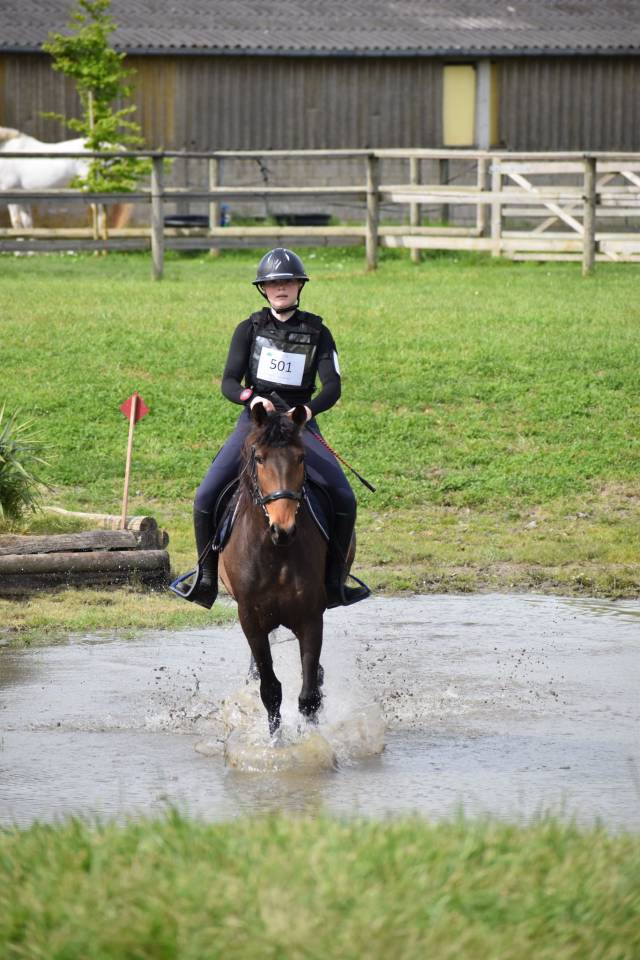 Jument PSL 7 ans très polyvalente 1.57m
