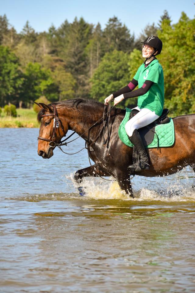 Jument PSL 7 ans très polyvalente 1.57m