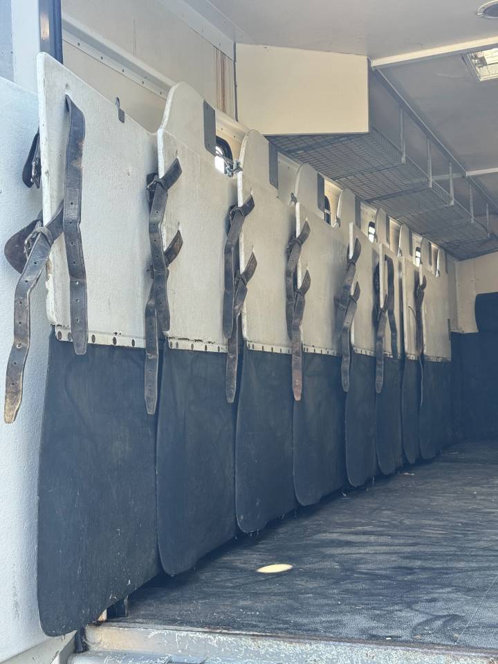 VENTE CAMION CHEVAUX 9 PLACES