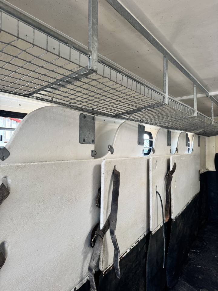 VENTE CAMION CHEVAUX 9 PLACES