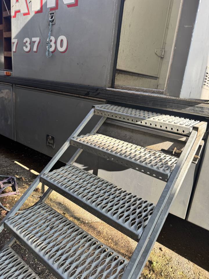 VENTE CAMION CHEVAUX 9 PLACES