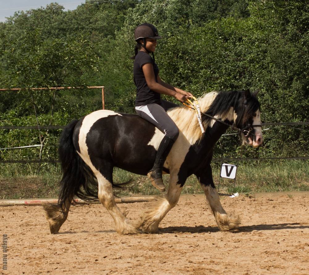 PONEY C POUR PRE RETRAITE