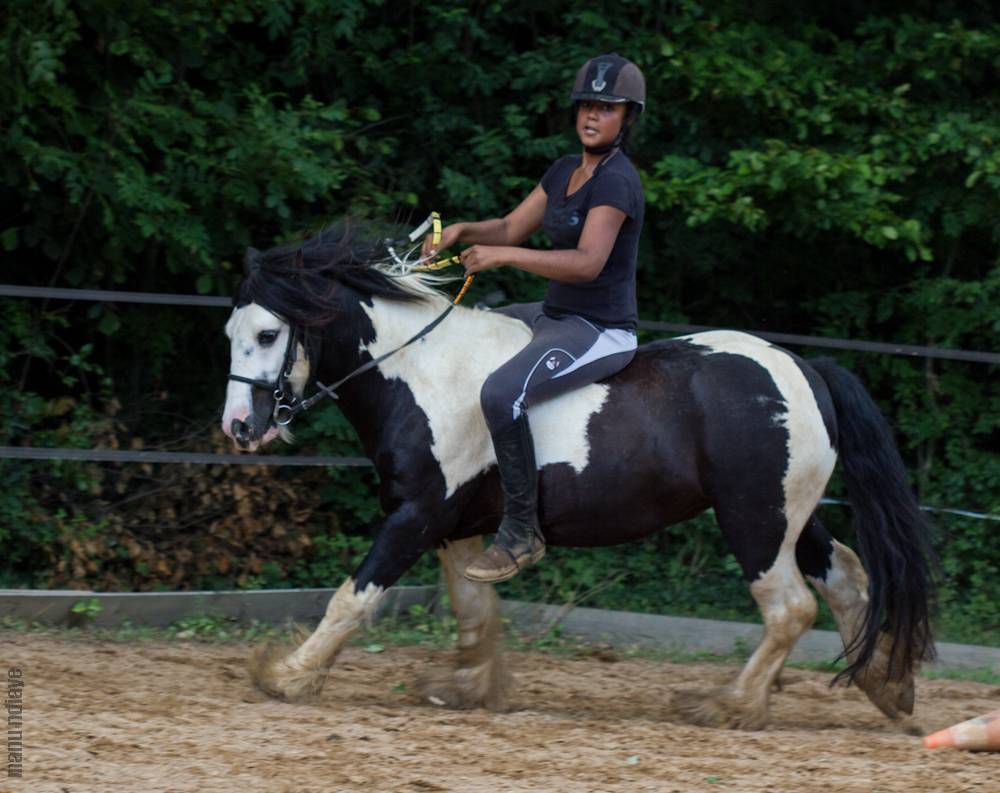 PONEY C POUR PRE RETRAITE