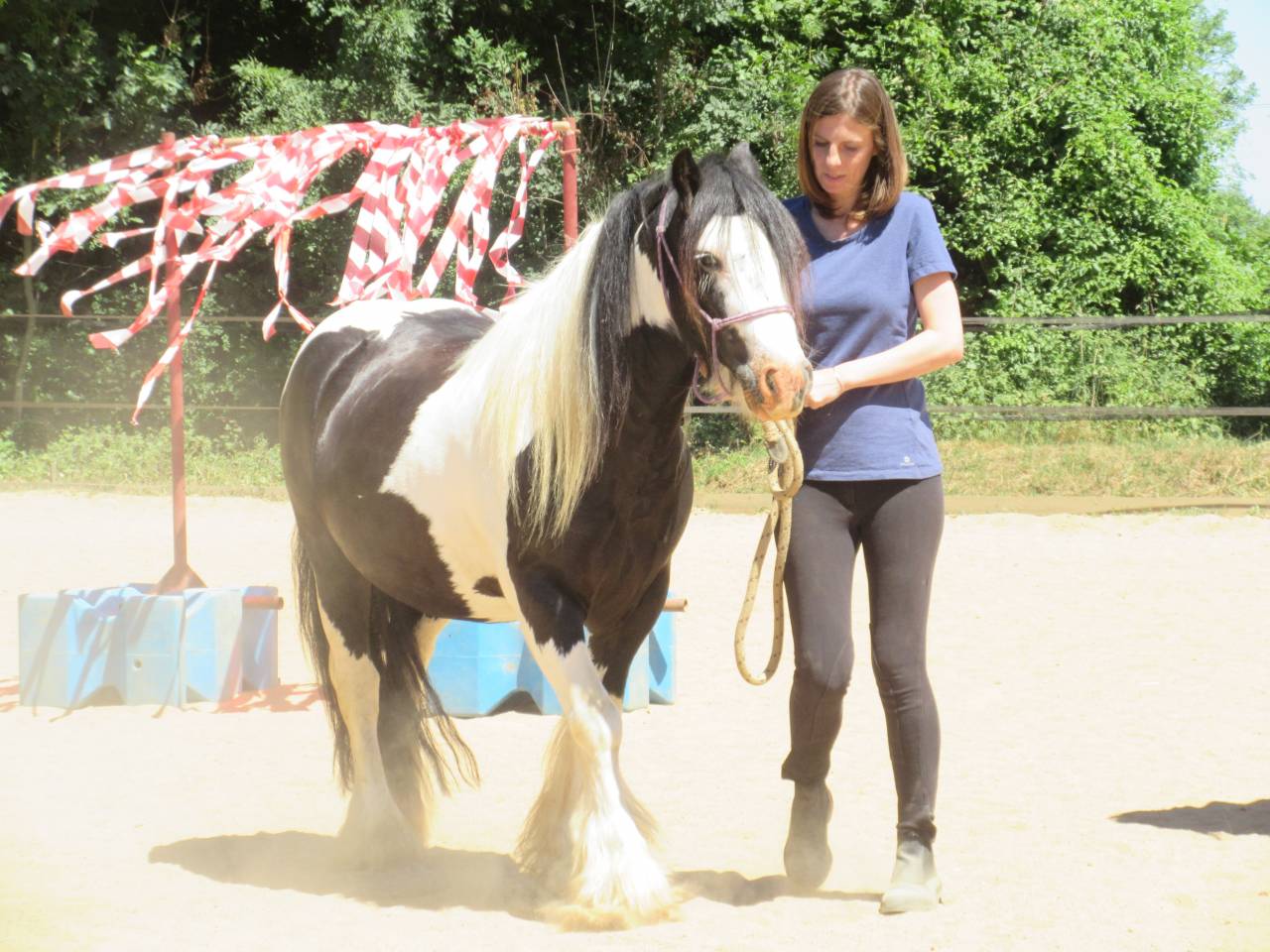 PONEY C POUR PRE RETRAITE