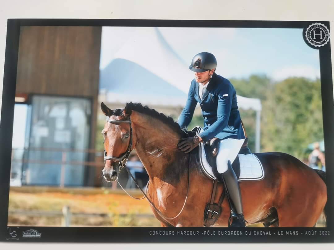 Cheval de dressage Am 1