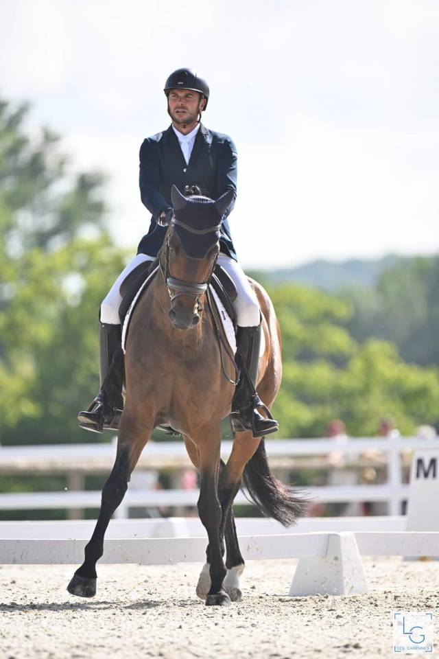 Cheval de dressage Am 1