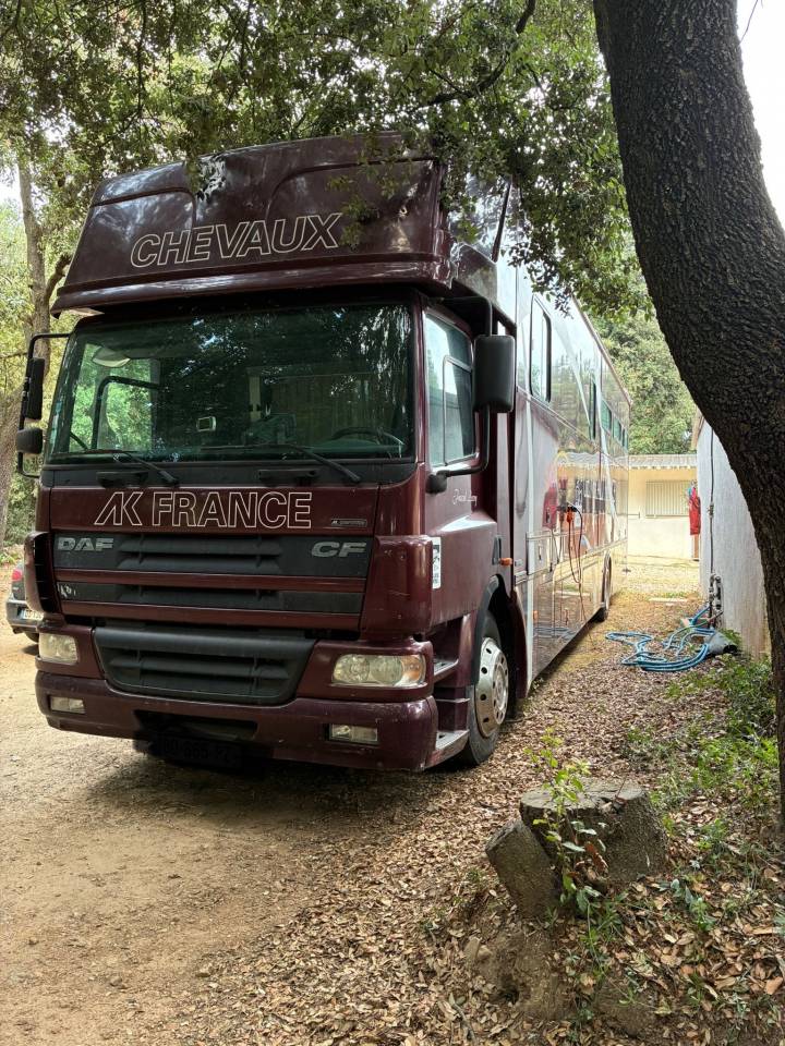 DAF 01/2003 6 chevaux avec appartement 