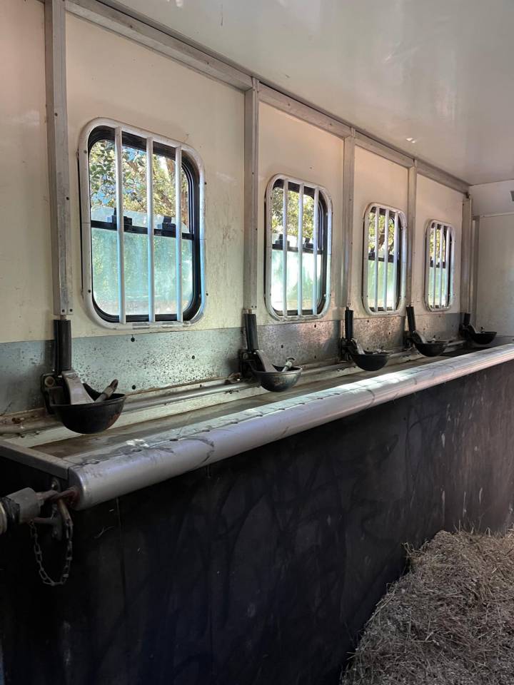 DAF 01/2003 6 chevaux avec appartement 