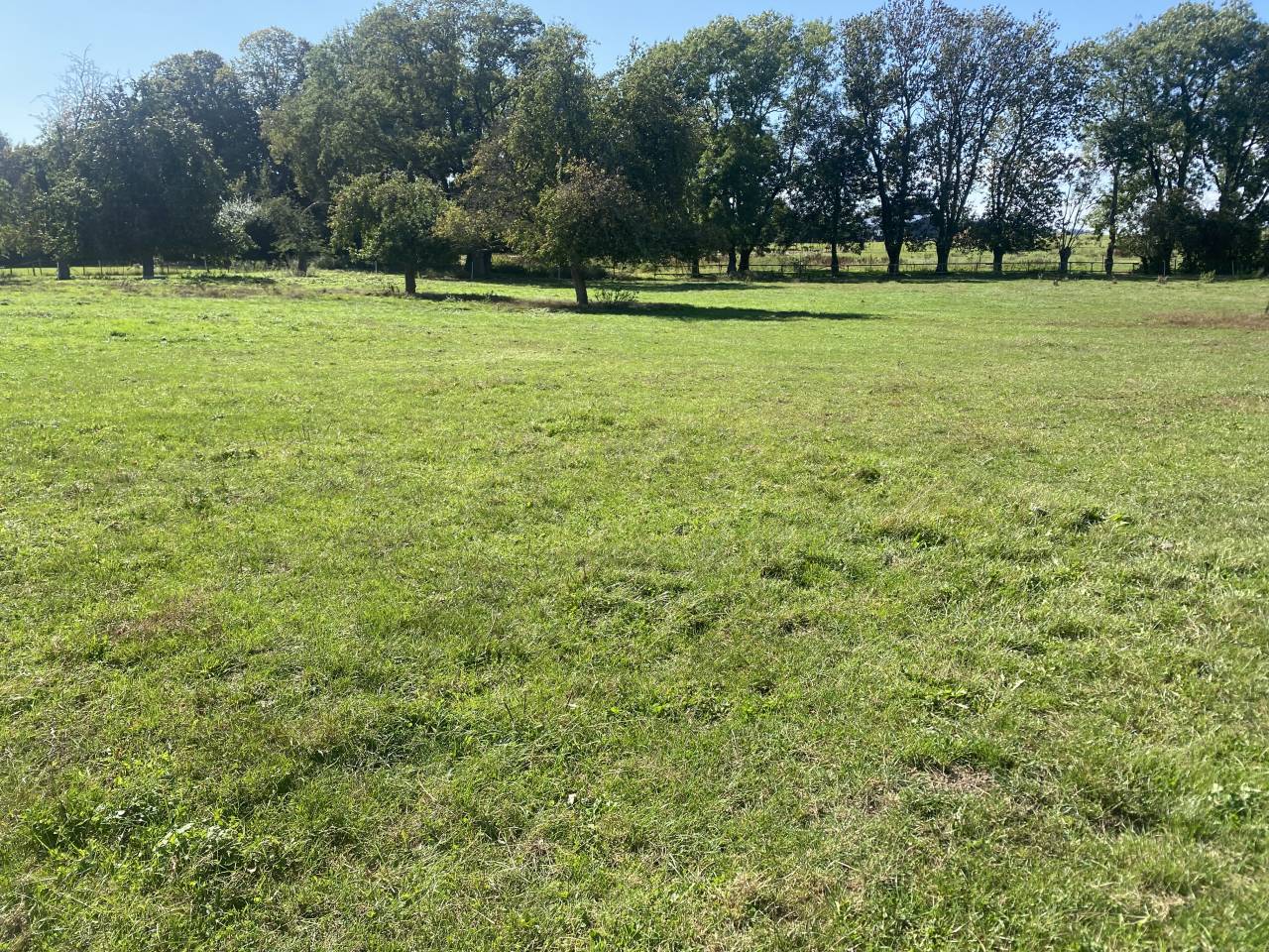 Écurie de propriétaire 