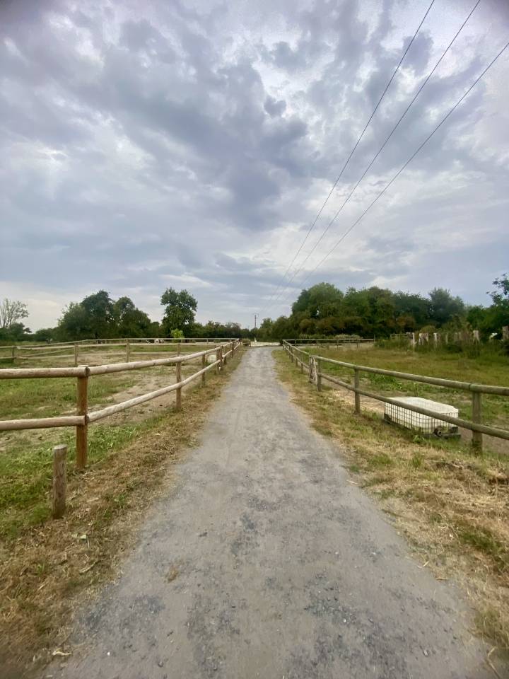 Écurie de propriétaire 