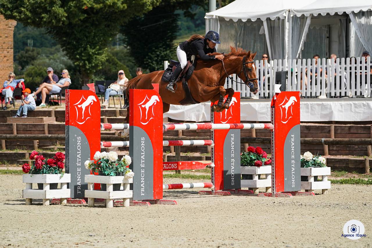 JAKPOT DE LA VIEROUCK    Hongre // 6 ans // 165 cm 