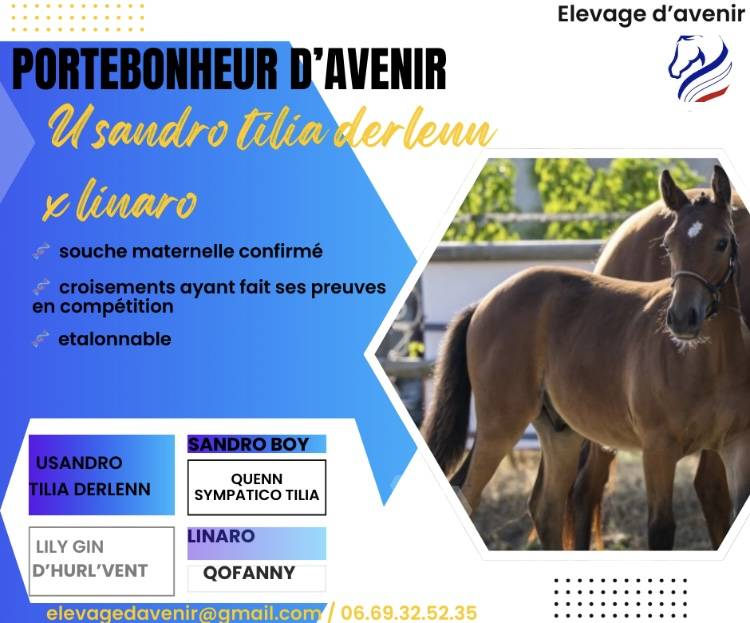 Poulain pfs génétique 5 ⭐️