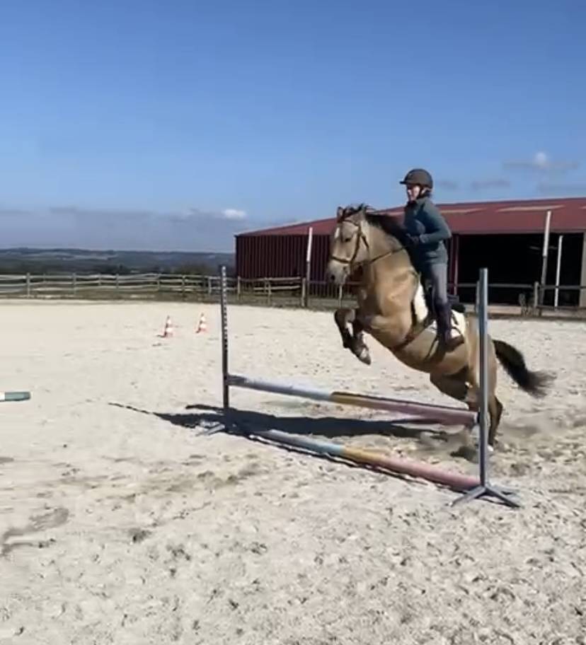 Poney par Rasmus 10 ans