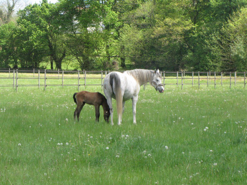 Pension propriétaires 15 mn de Pau (64) 