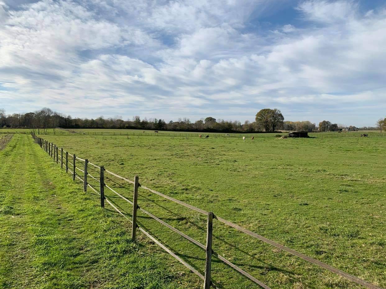 Pension propriétaires 15 mn de Pau (64) 