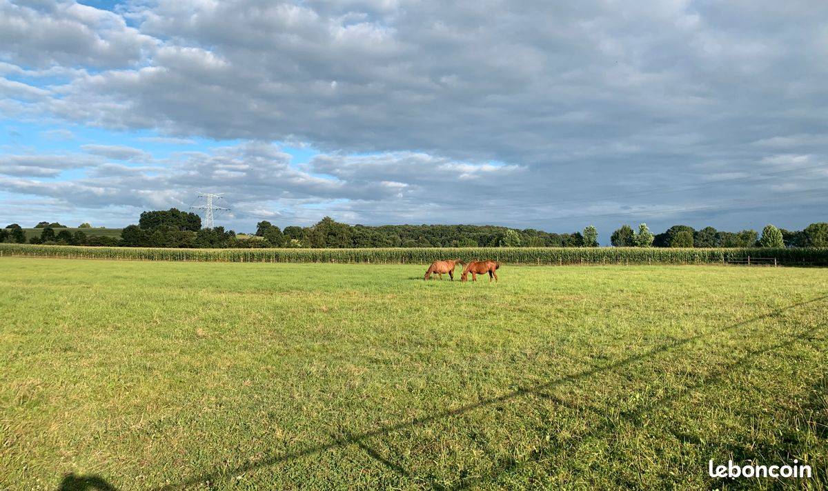 Pension propriétaires 15 mn de Pau (64) 