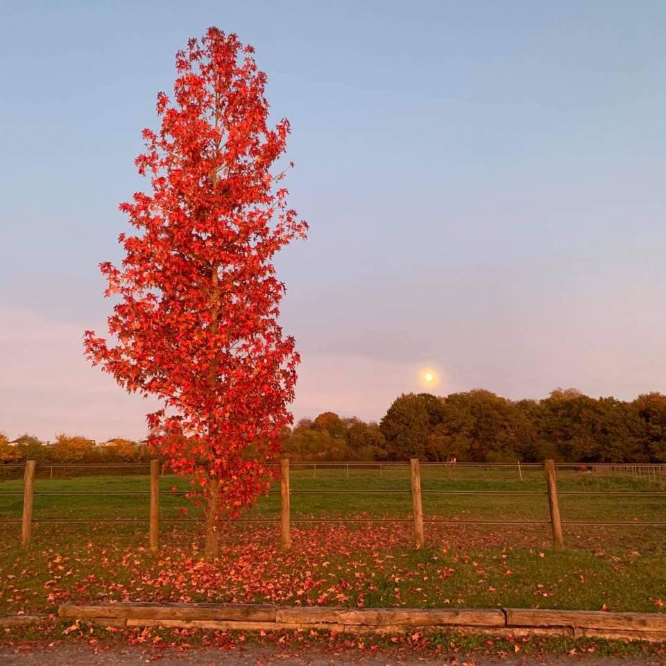 Pension propriétaires 15 mn de Pau (64) 