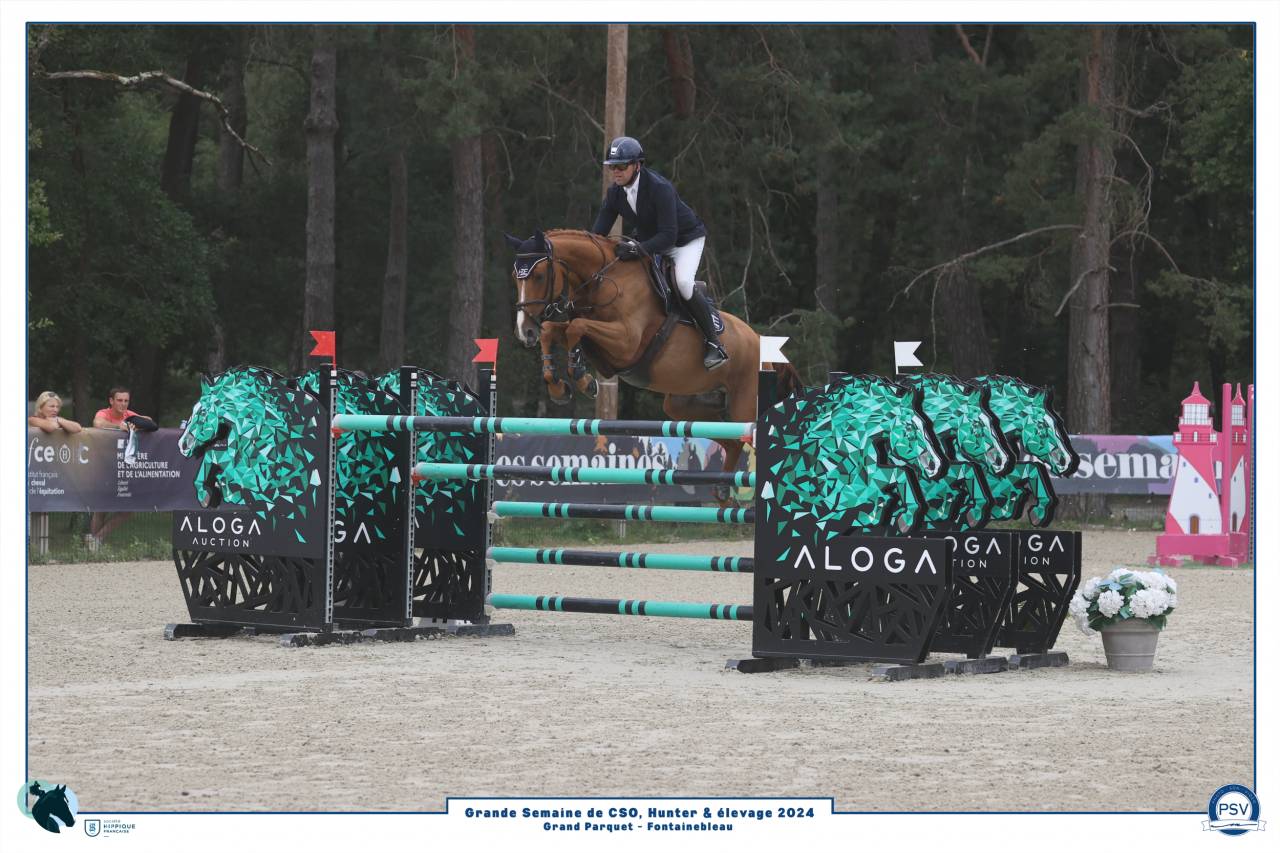 Cheval 8ans Ideal Junior, classé 1m45