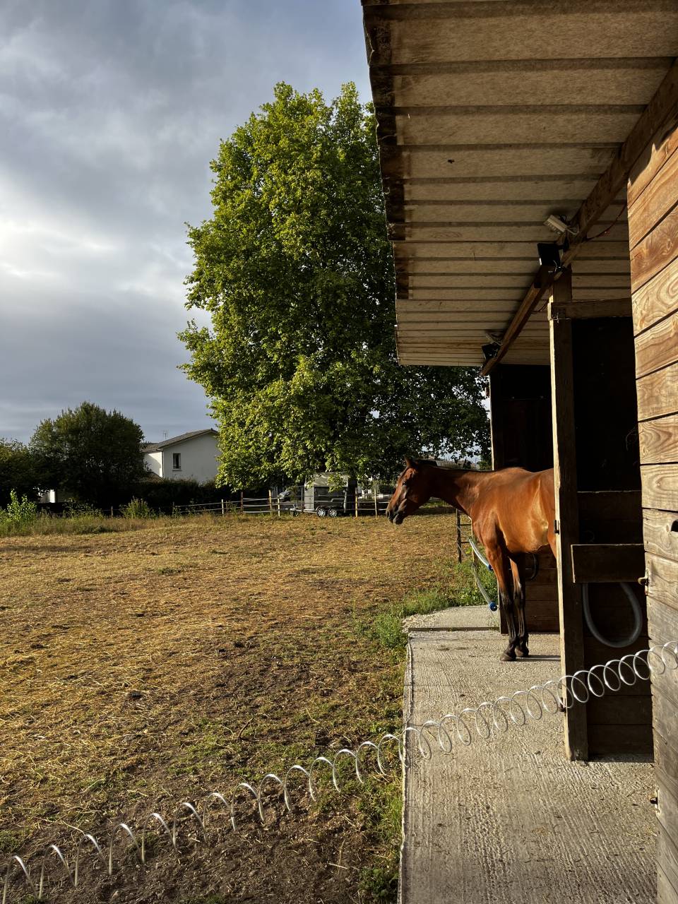 Pension pré avec abris - 33290 Blanquefort